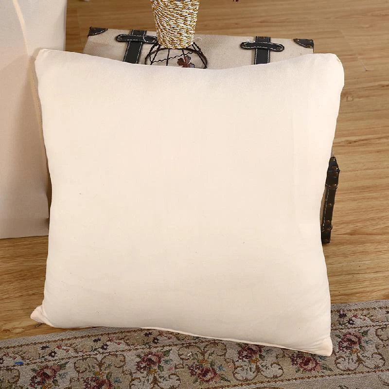 Throw Pillow Cover, 2 Pieces Pillow Covers, Pillowcase for Sofa Bed 18 x 18 Inch
