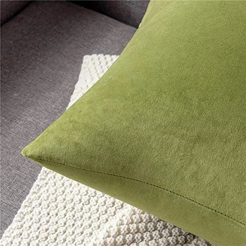 Couch Pillow Cases 18x18: 2 Pack Cozy Soft Velvet 18 x 18-Inch Chartreuse