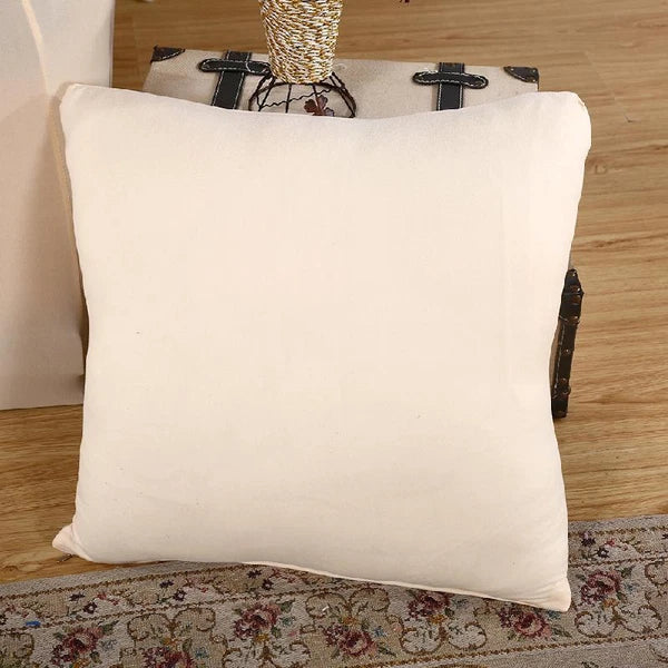 Throw Pillow Cover, 2 Pieces Pillow Covers, Pillowcase for Sofa Bed 18 x 18 Inch
